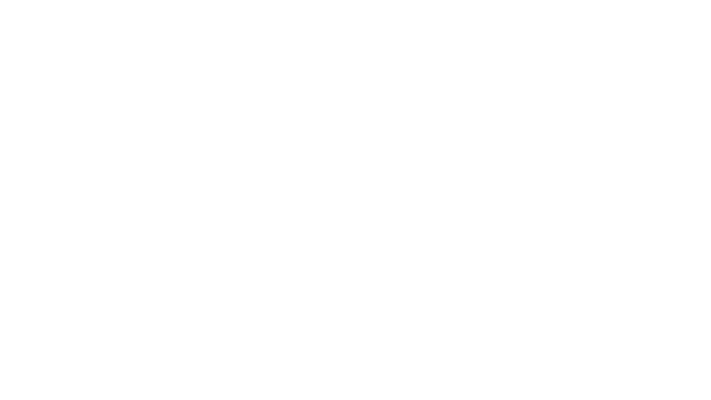 VVIP Luxury Chauffeur Services